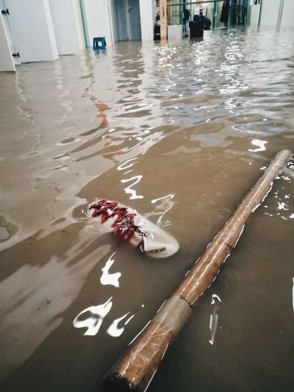 Covid-19a, asteburuko uholdeak... Zerbait gehiago?