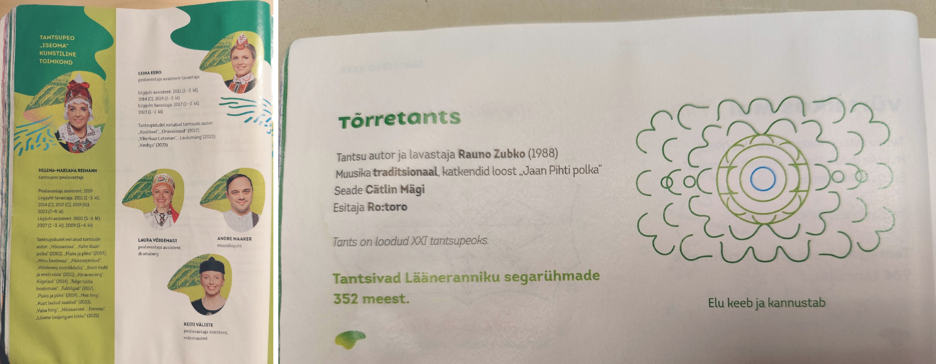 copy2_of_Grfico1.JPG