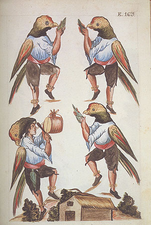 163Ydemdeguacamaios.163.jpg