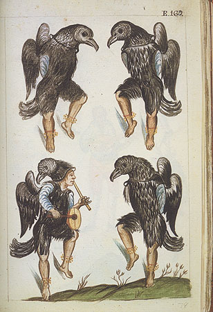 169Ydemdegallinazos.169.jpg