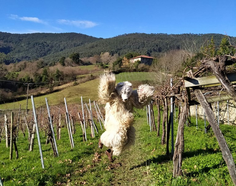 Bakion ere hartza esnatu da!