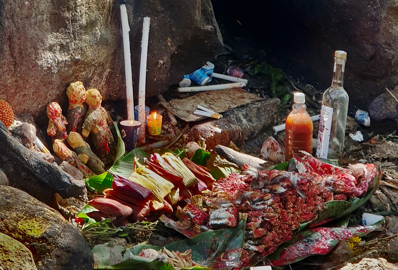 Oaxacan. Urte batetik bertzera, mundo batetik bertzera
