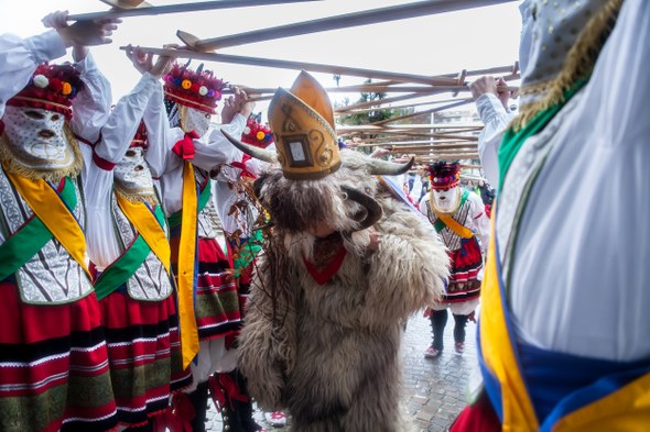 Hartza-kobazulora Hartza-kobazulora