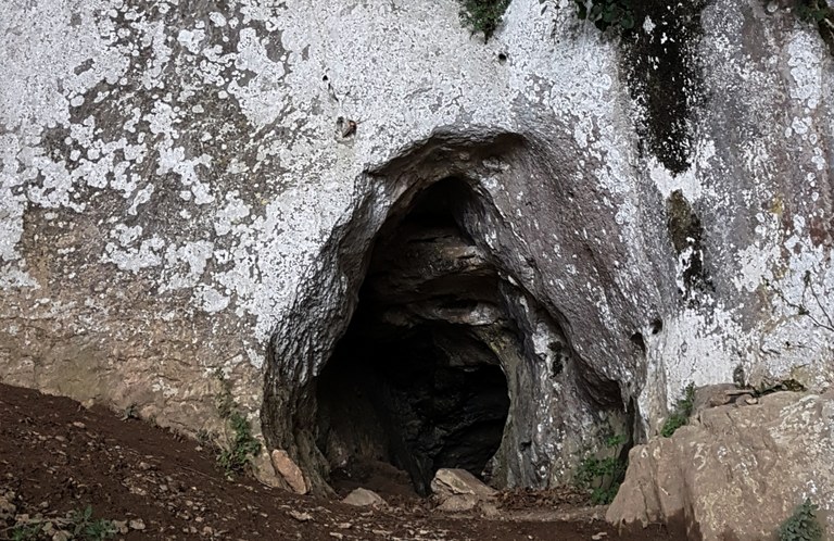 Hartza iratzarri da, has dadila inauteria