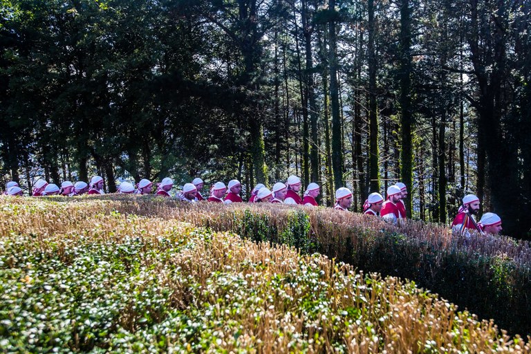 Arrateko dantzariak 2015eko Arrate egunean