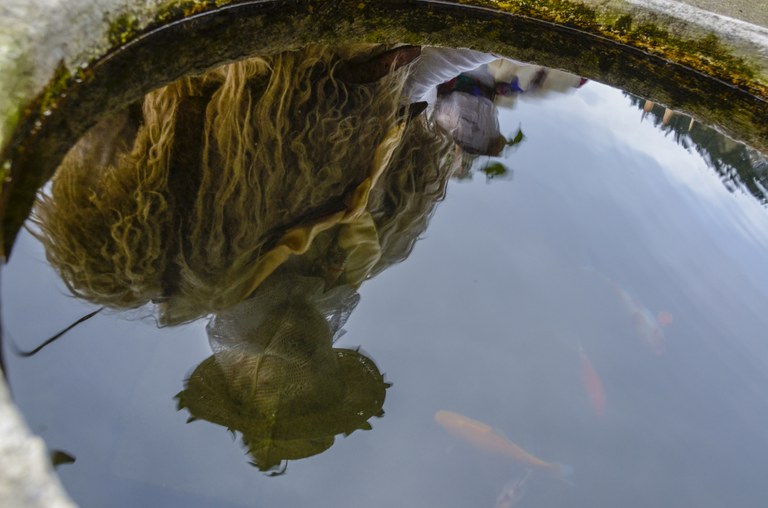 Txorittua norat hua koko-jantzita? 2016ko koko-dantzen kronika