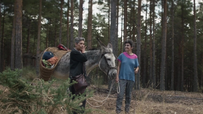 Gaua irakurtzera nator Gaua irakurtzera nator