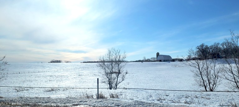 Minnesota zuria 144945