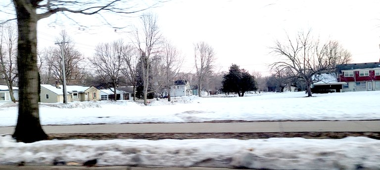 Minnesota zuria 174759