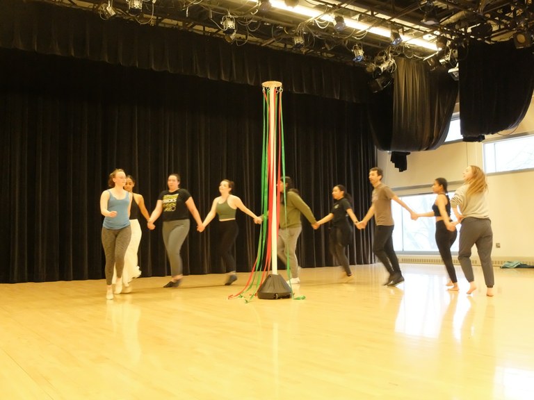 Veselica zinta-dantza