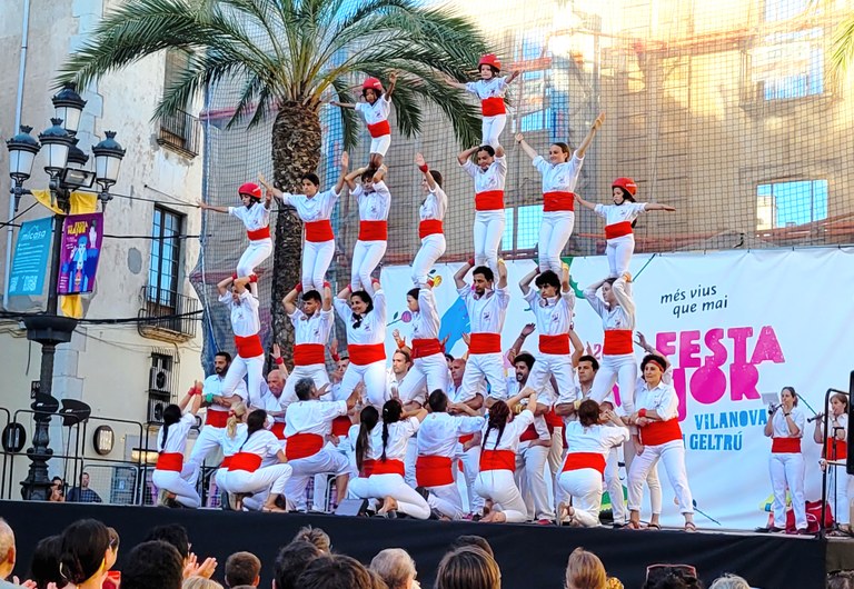 Falcons de Vilanova Falcons de Vilanova