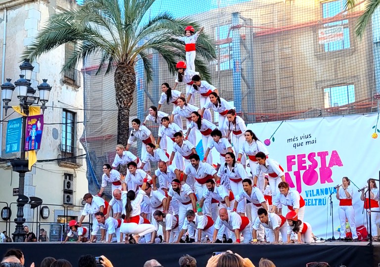 Falcons de Vilanova Falcons de Vilanova