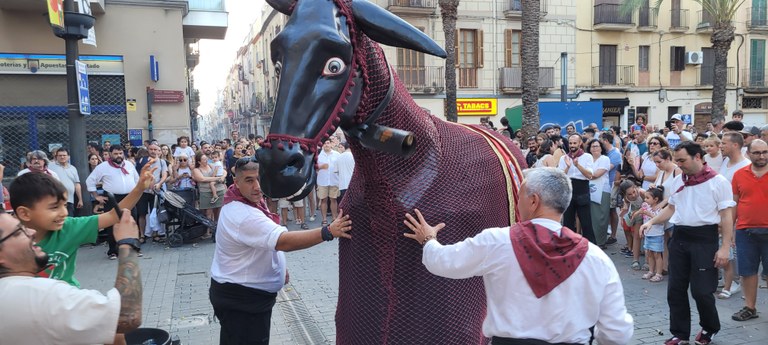 Mulassa Vilanova 2023 Mulassa Vilanova 2023