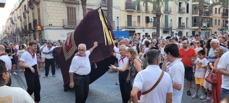 Mulassa Vilanova 2023 Mulassa Vilanova 2023