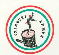 Txindurri dt